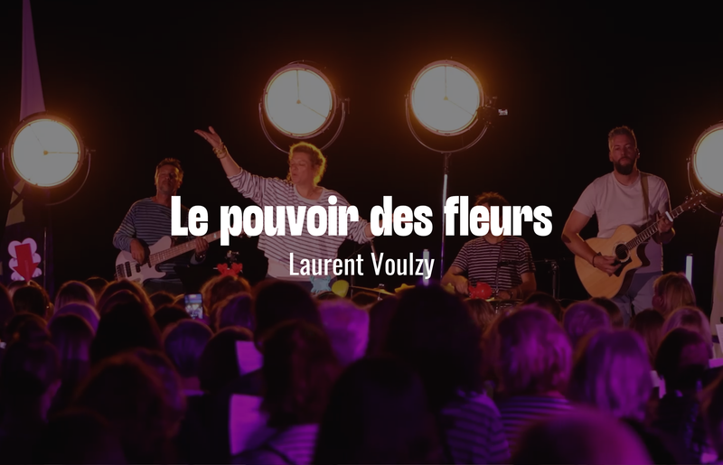 Le pouvoir des fleurs de Laurent Voulzy